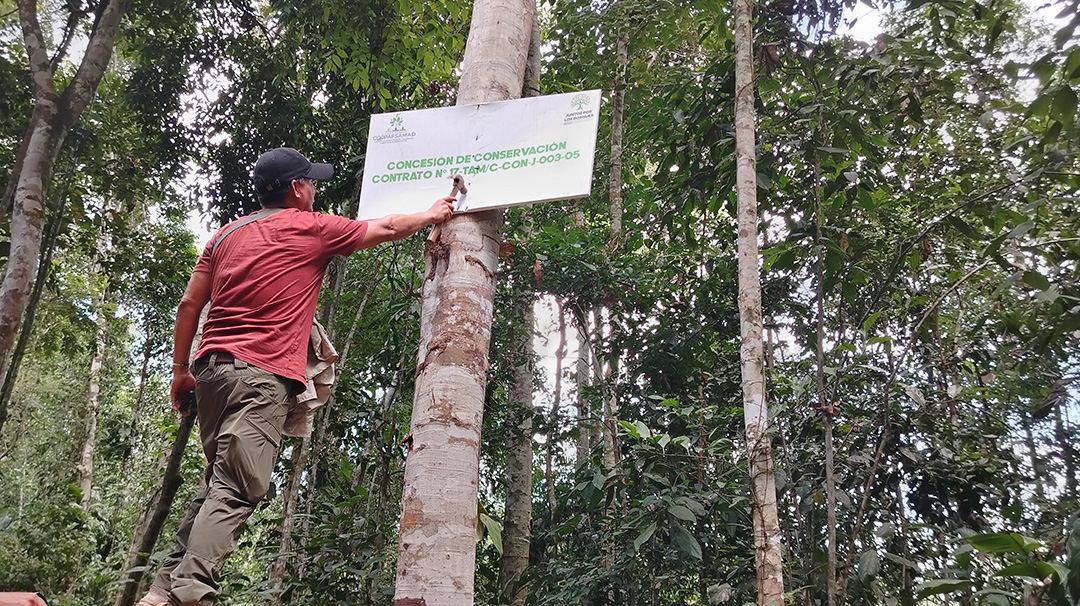 Proyecto REDD+ JPLB refuerza la defensa de los bosques implementando su mecanismo de monitoreo control y vigilancia forestal